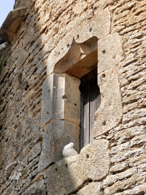 CHATEAUNEUF-EN-AUXOIS (21) - Château-fort