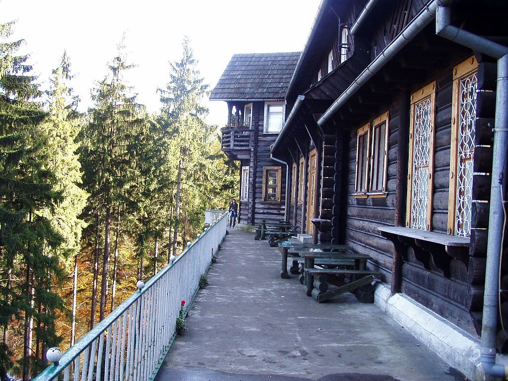 Obraz