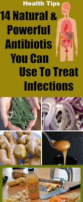 14 Natural & Powerful Antibiotics You Can Use To Treat Infections
