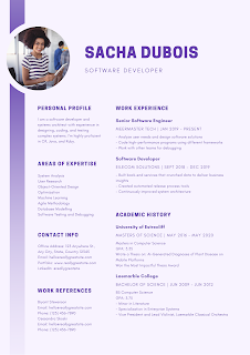 Basic Free Tips For Who Wants To Wright and Design a Professional Resume.