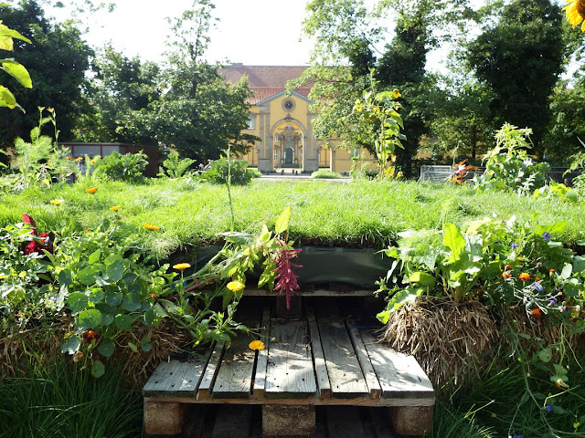 osnabrück,osnabrueck,marktplatz,popupgarten,urbangardening,wirsindimgarten,schloss