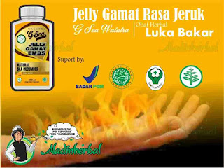 Jelly Gamat Rasa Jeruk G-Sea Walatra Obat Luka Bakar