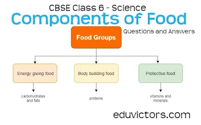 CBSE Class 6 - Science - Chapter 2: Components of Food (Questions and Answers)(#class6Science)(#componentsOfFood)(#eduvictors)