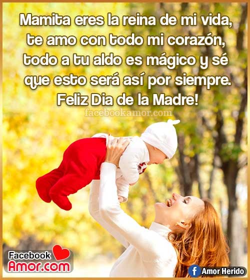 feliz día madre