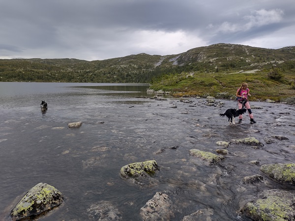 Fjellelva Prestegårdstjerna