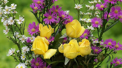 Yellow Roses wallpaper 2 HD