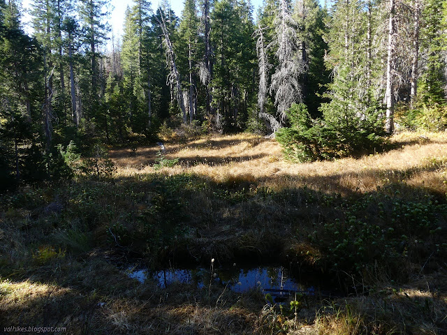 water in a hole in the meadow