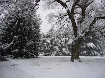 First snow at 2 Green Acres a Maryland Garden