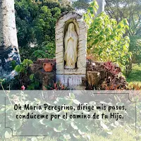 Florecilla para este día: Caminar es evangelizar