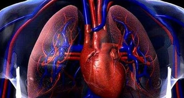 Crean aplicación móvil que detecta infartos de miocardio