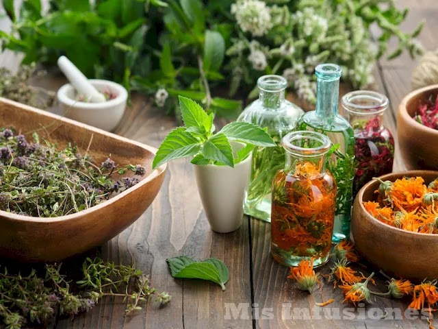 Infusión de manzanilla, hinojo y aloe vera