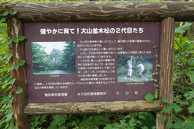 鳥取県道24号米子大山線　鳥取県西伯郡大山町赤松字上槙原