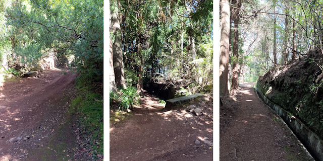 Levada da Serra do Faial