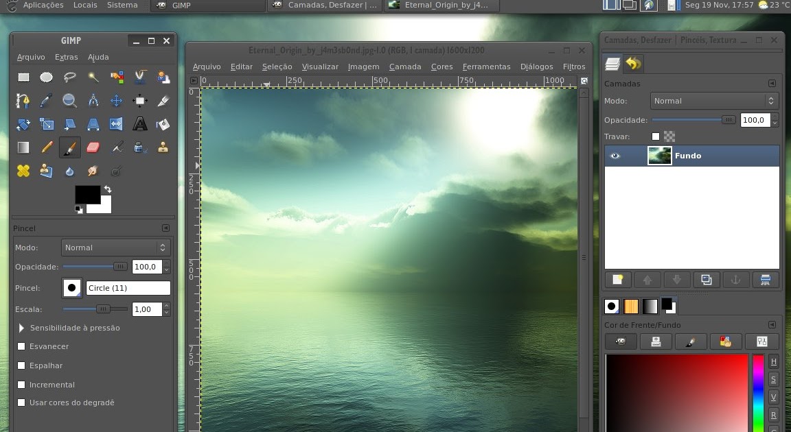 Gimp online em portugues