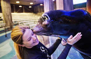 Dialogos en Ingles - At the aquarium