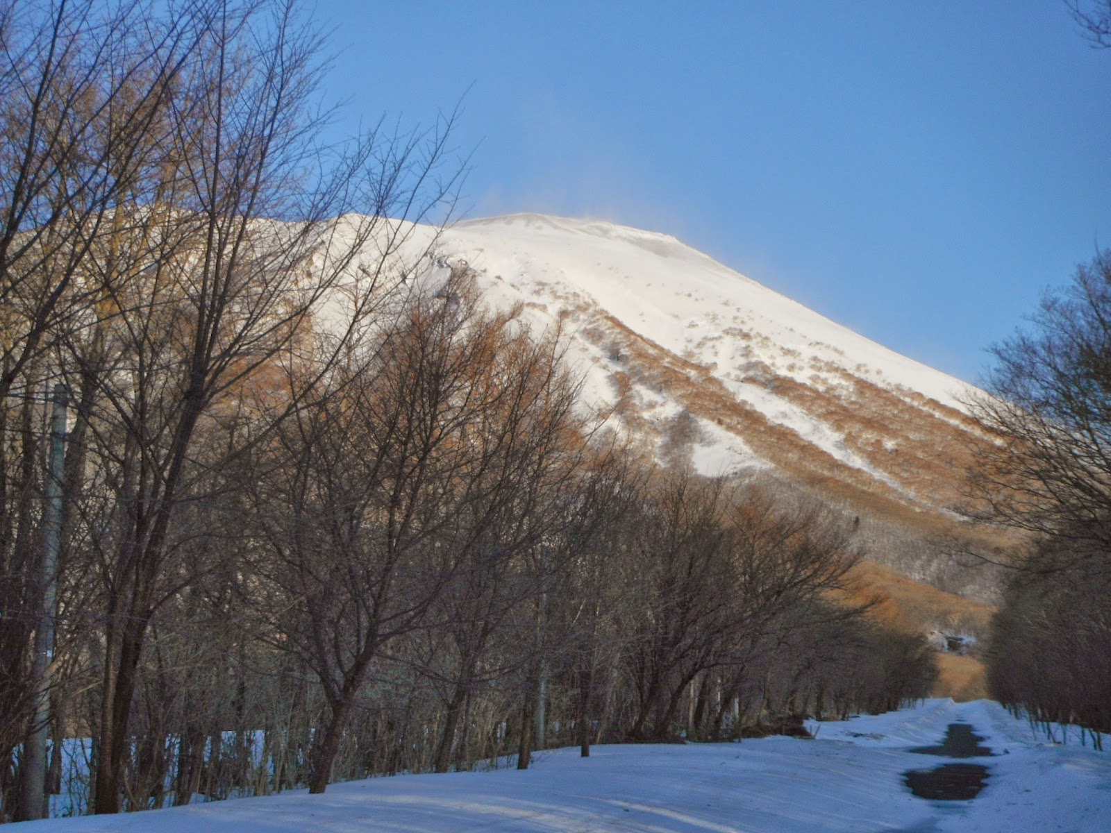山旅三昧 岩手山に登る 馬返しコース最新情報
