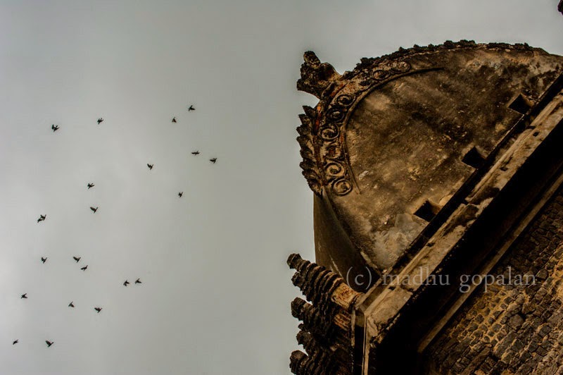 Gingee Fort, Tamil Nadu