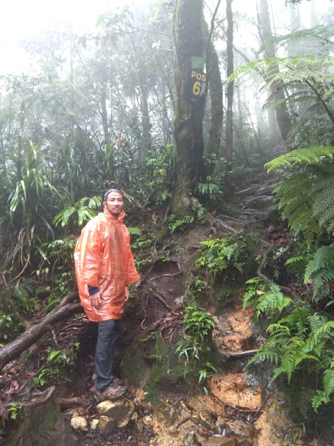 Pendakian Gunung Salak 1 Hari (Tektok) via Jalur Cimelati
