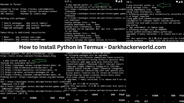 How to Install Python in Termux