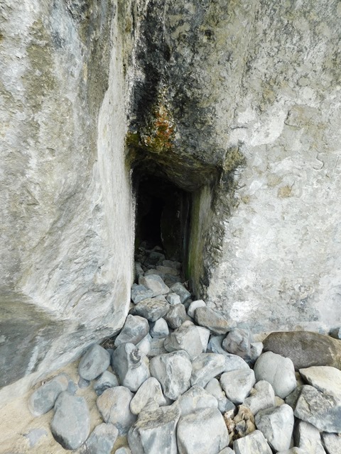 DSCN3881