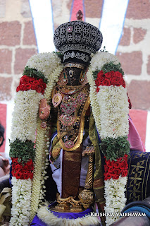 Kodai UTsavam,Thiruvallikeni, Sri PArthasarathy Perumal, Temple, 2017, Video, Divya Prabhandam,Utsavam,