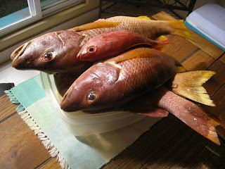 fresh fish, La Ceiba, Honduras