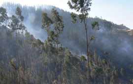 Incendio causa apuros en Sucre