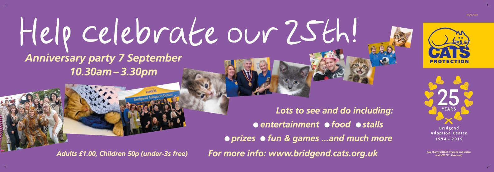 Cats Protection - Bridgend Adoption Centre Blog : Summer Time!