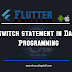 switch statement in dart programming language