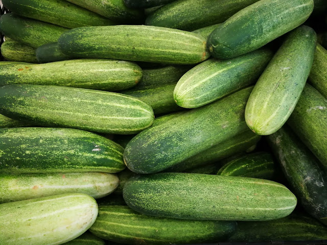 Cucumber