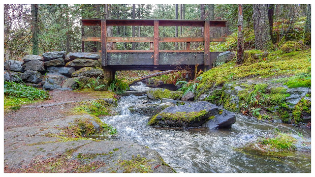 2016-01-16 Bowen Park in Nanaimo