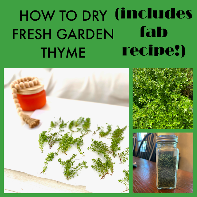 collage how to dry fresh garden thyme