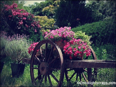 rain-50