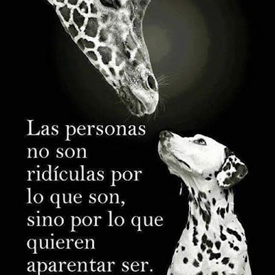 Frase de Superacion Personal Las personas no son ridiculas