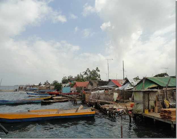 shore line with boats