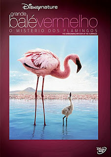 Grande Bal%2525C3%2525A9 Vermelho O Mist%2525C3%2525A9rio dos Flamingos poster Grande Balé Vermelho O Mistério dos Flamingos Dublado BDRip