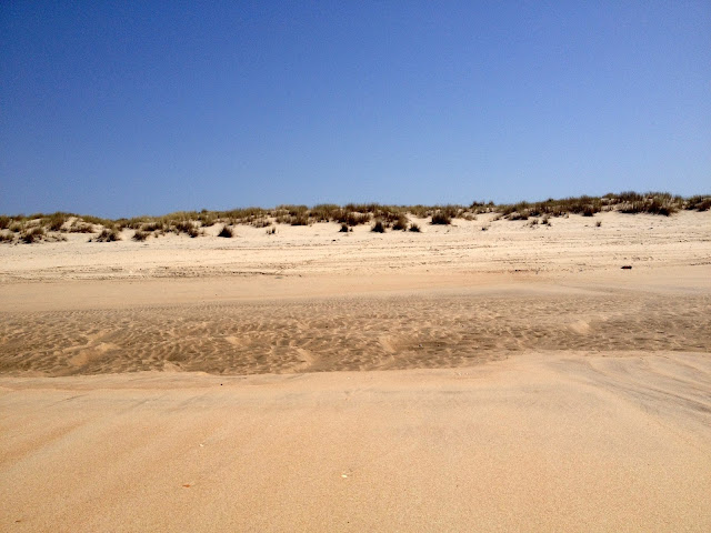 dunas doñana