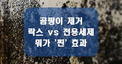 곰팡이 제거, 락스 vs 전용세제? 뭐가 '찐' 효과일까?