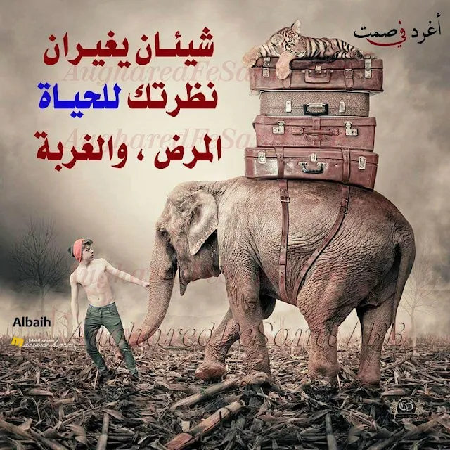 صور معبره