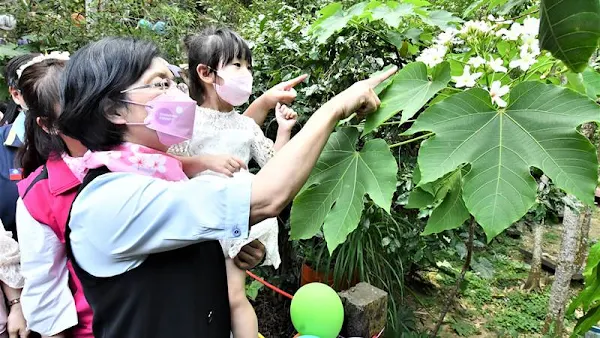 2022桐花祭4/16~5/1　美好彰化幸福桐遊