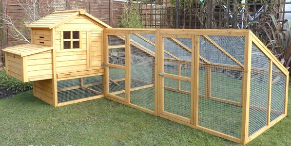 backyard chicken coop