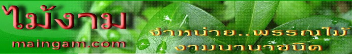 ไม้งาม-ไม้ดอกไม้ประดับ