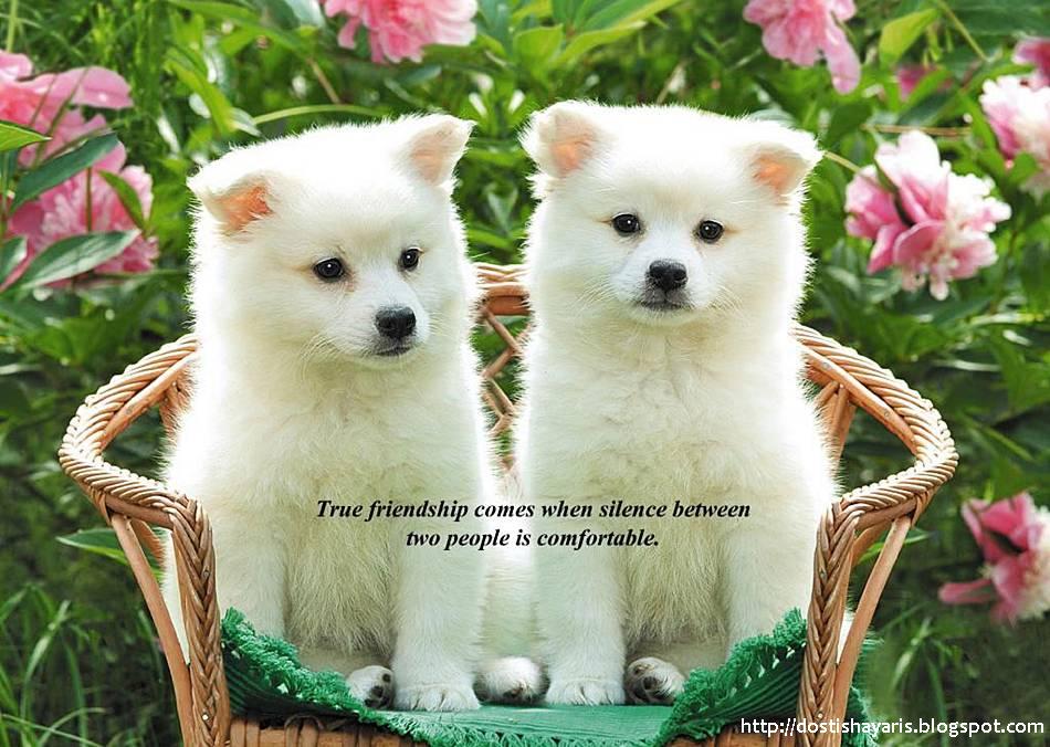 beautiful friendship quotes with pictures. Beautiful Friendship