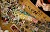 Cancer Survivor Makes Jewelry Out of Pills to Pay Off Medical Debt