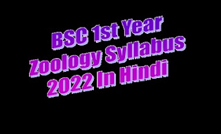 Bsc 1st Year Zoology Syllabus