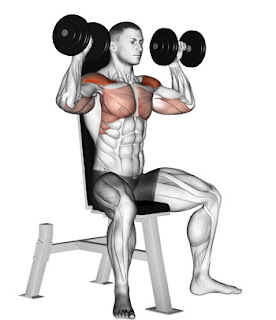 Seated Dumbbell Shoulder Press