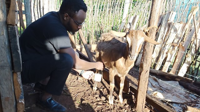 2020 is an year of abundance for smallholder farmers in Kenya. Smallholder farmers may be poor, but they live a quality life.