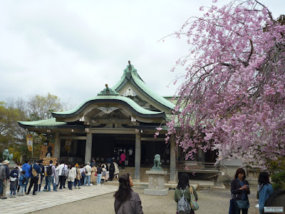 枝垂桜と拝殿