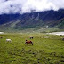 Langtang National Park