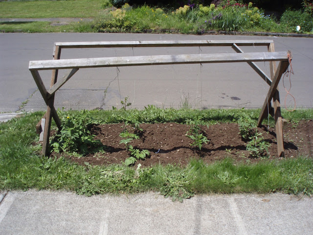 derek freiman - trellis for tomatoes